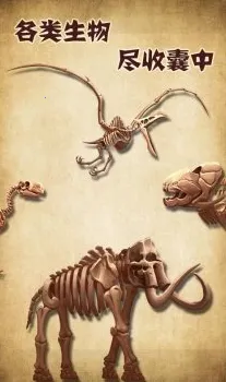 ��ʯ�����(��ʯģ�⾭Ӫ��Ϸ)