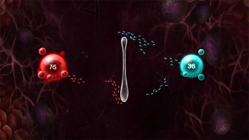 繁殖战争2(精子战争手游) 繁殖战争2(精子战争手游)