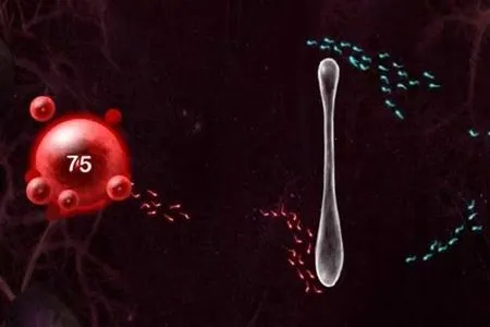 繁殖战争2(精子战争手游) 繁殖战争2(精子战争手游)