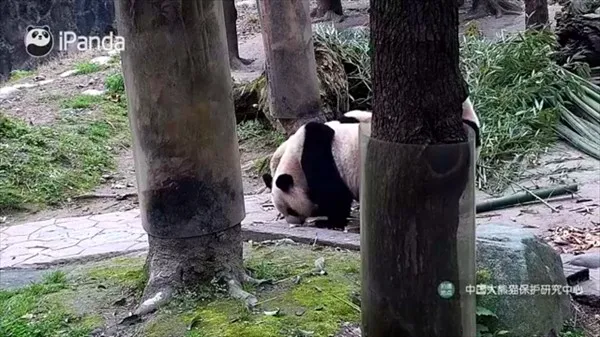 看电视呗(影视直播软件) 看电视呗(影视直播软件)