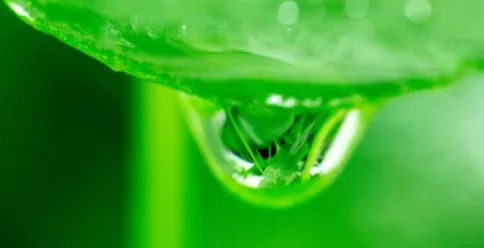 ���ƻ���2026�ٷ����°汾