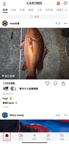 ���2026�ٷ�����