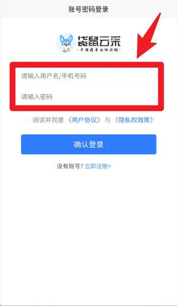袋鼠云采 袋鼠云采