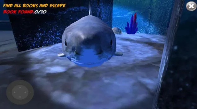 鲨鱼的恐怖袭击 鲨鱼的恐怖袭击