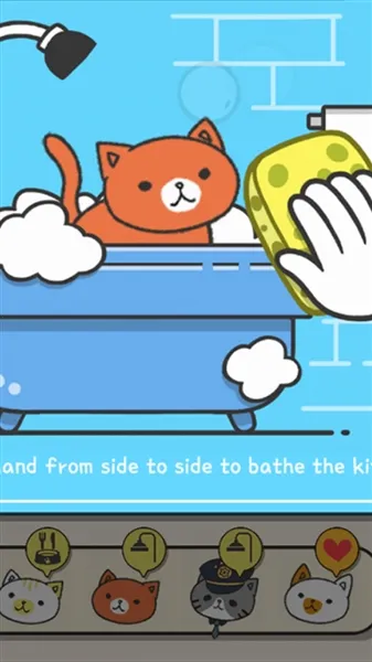 小猫咪之家2026最新版本 小猫咪之家2026最新版本