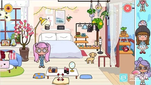 �׼�С���̵�2026�ٷ�����