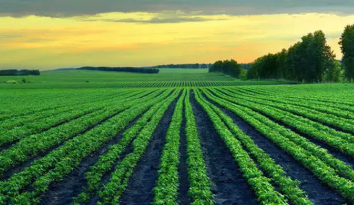 搜了宝最新手机版 搜了宝最新手机版