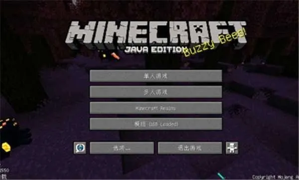我的世界龙之冒险 我的世界龙之冒险