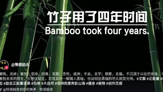 火山车娱2026下载安装 火山车娱2026下载安装