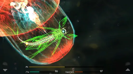 火花进化2 火花进化2