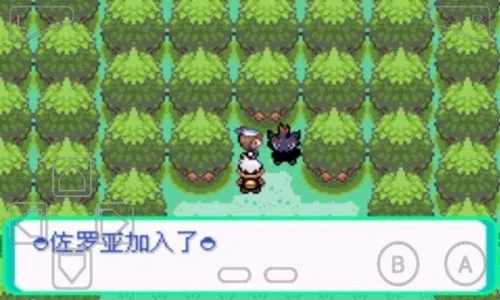 口袋妖怪漆黑的魅影ex bw神兽 口袋妖怪漆黑的魅影ex bw神兽