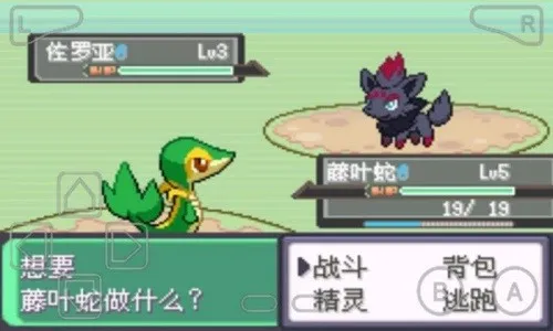 口袋妖怪漆黑的魅影ex bw神兽 口袋妖怪漆黑的魅影ex bw神兽