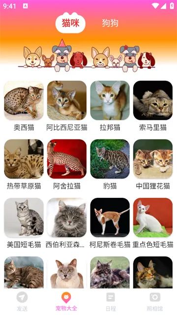 ���ܻ�������