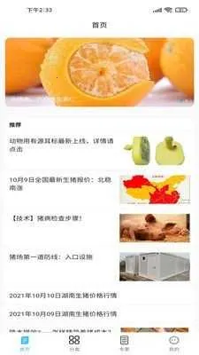 养猪富豪 养猪富豪