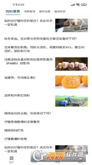 养猪富豪 养猪富豪