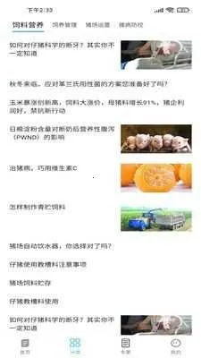 养猪富豪 养猪富豪