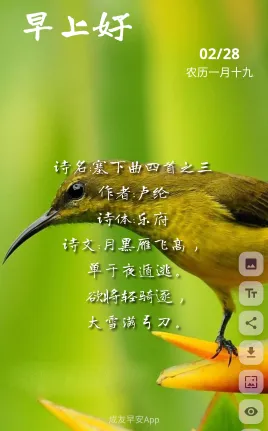 成友早安2026下载安装 成友早安2026下载安装