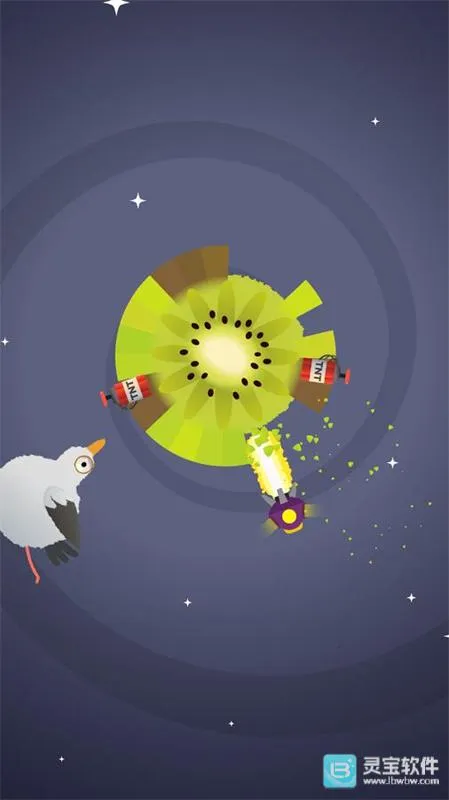 疯狂的鸽子安卓版手机版 疯狂的鸽子安卓版手机版