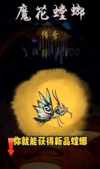 极品螳螂最新手机版 极品螳螂最新手机版