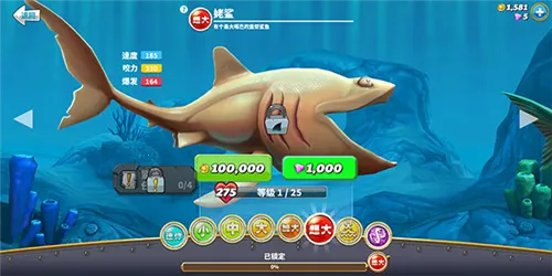 ���������������޸���