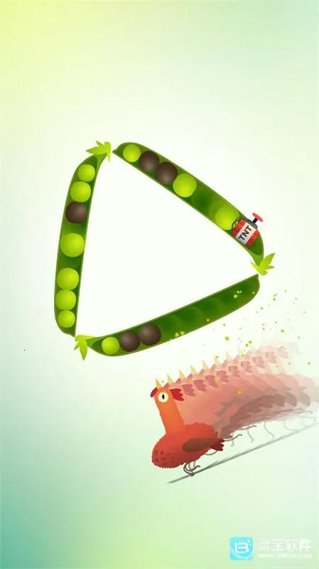 ���ĸ������İ�����