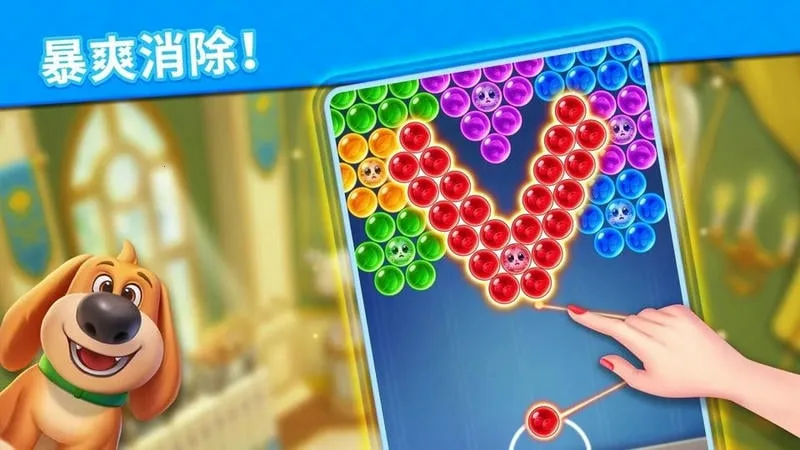 ������������˵2026���°汾