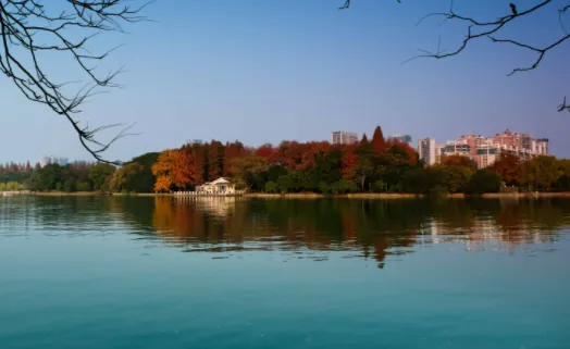 B12相机最新手机版 B12相机最新手机版