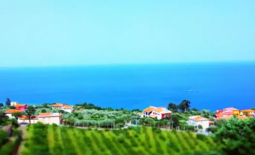 B12相机最新手机版 B12相机最新手机版