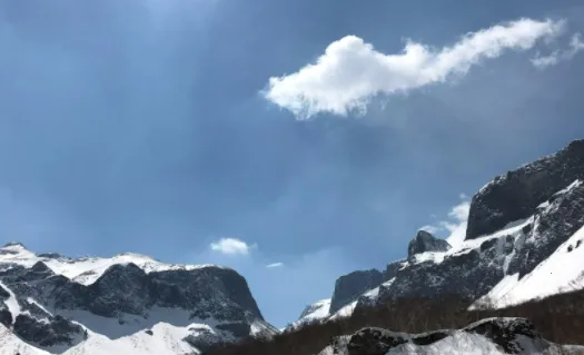 B12相机最新手机版 B12相机最新手机版