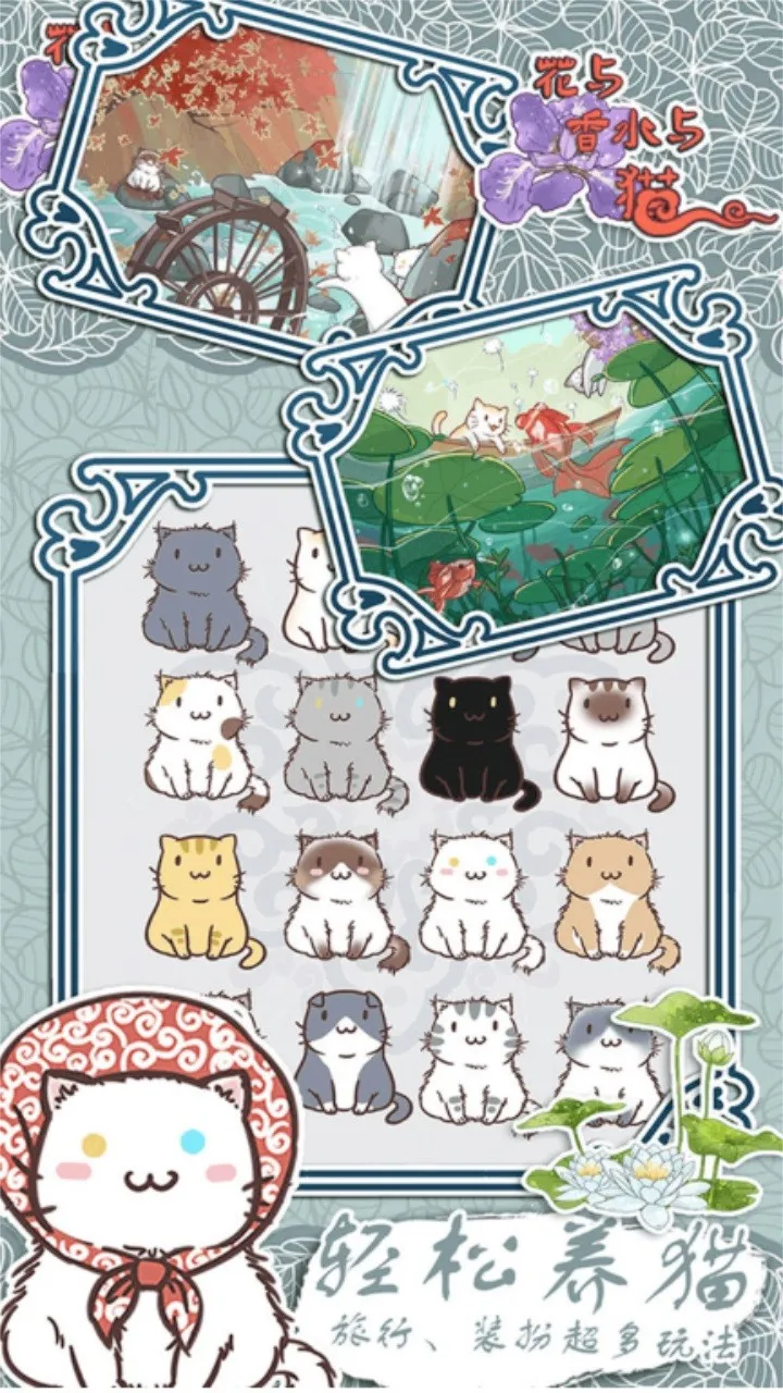 ������ˮ��è