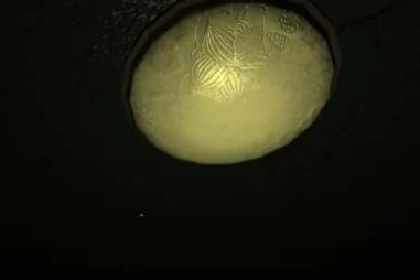 循环2026官方最新版本 循环2026官方最新版本