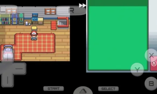 �ڴ�������Դ�Ľ�