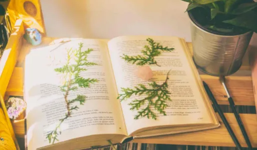 掌阅课外书 掌阅课外书