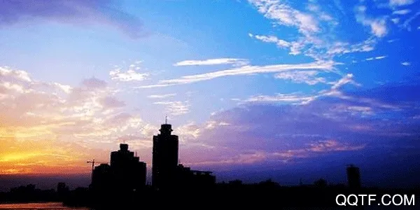 ������ý2026���°汾