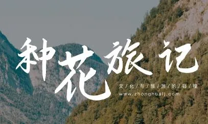 种花旅记2026官方正版 种花旅记2026官方正版