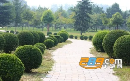 数字园林 数字园林