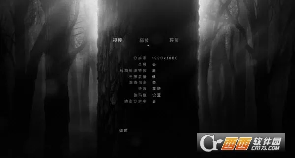 阴暗森林 阴暗森林