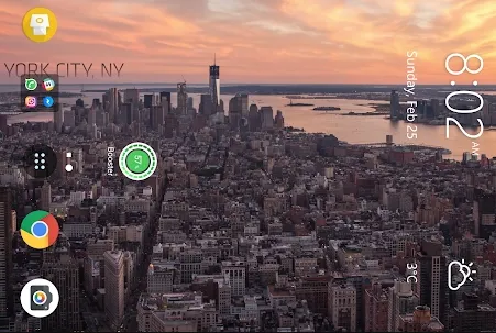 ������̬��ֽ