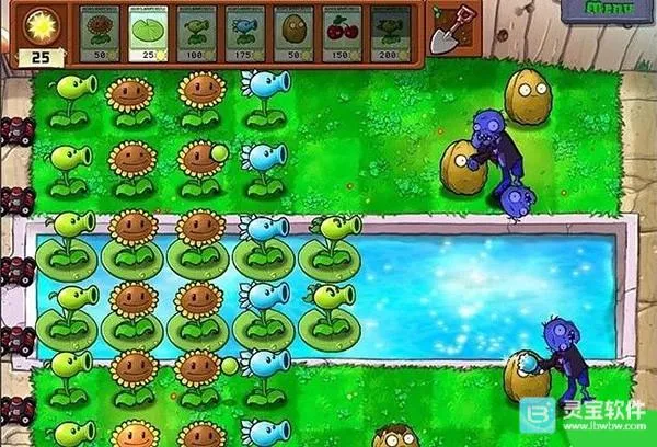 植物大战僵尸CL2026下载安装 植物大战僵尸CL2026下载安装