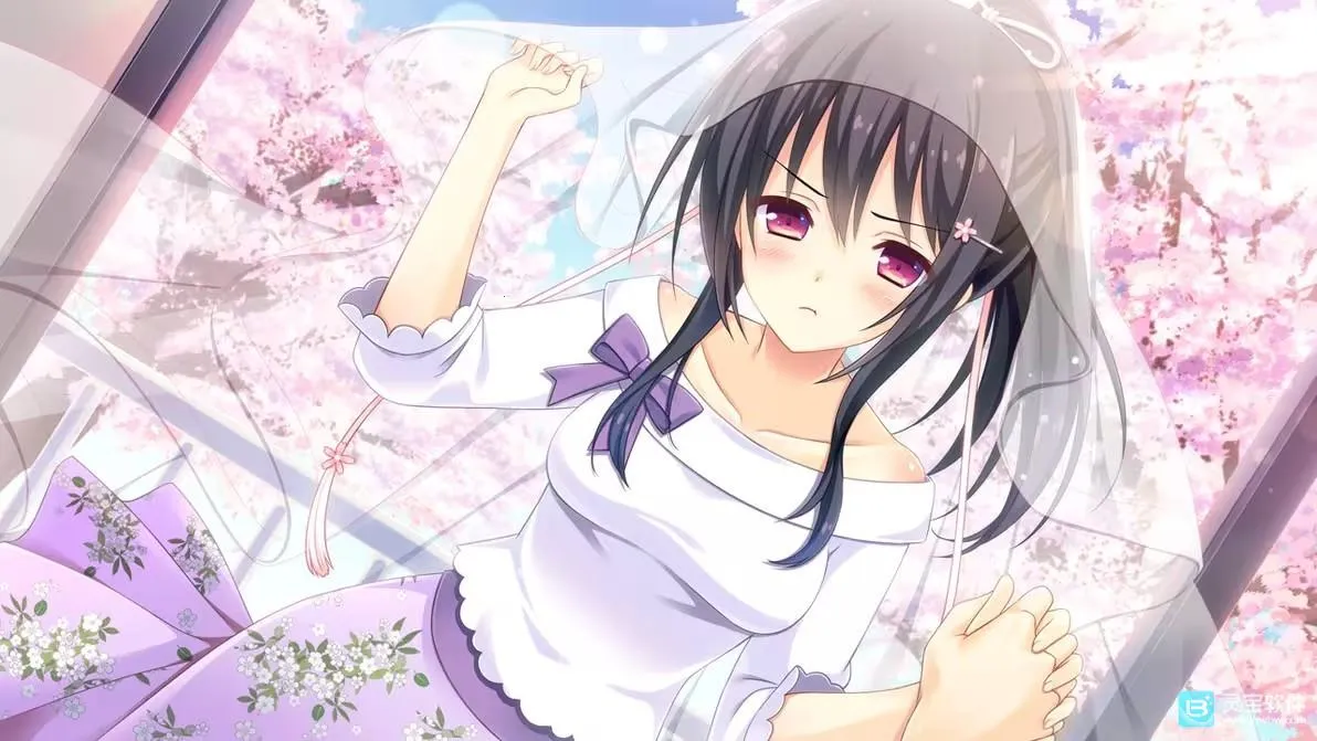 ����֮��