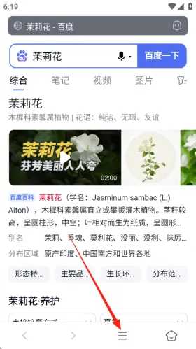 蓝奏浏览器苹果版 蓝奏浏览器苹果版