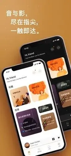 HiFier(音乐播放软件) HiFier(音乐播放软件)