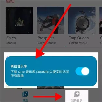 goproquik(�����������)