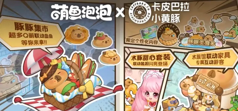 �����������ڹ�