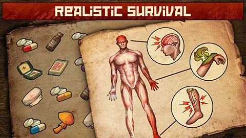 ����֮�պ���������