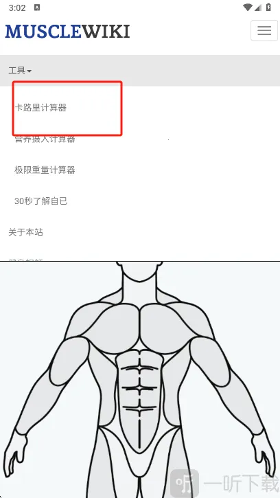 Muscle Wiki2026�ٷ�����