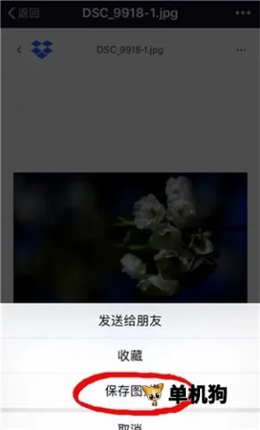 dropbox(�ƴ洢����)