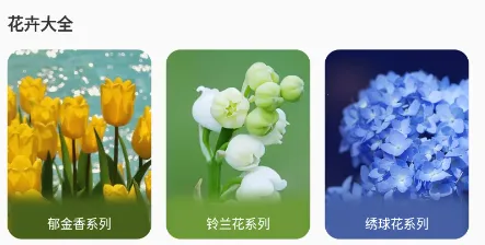 ����¼2026���°汾