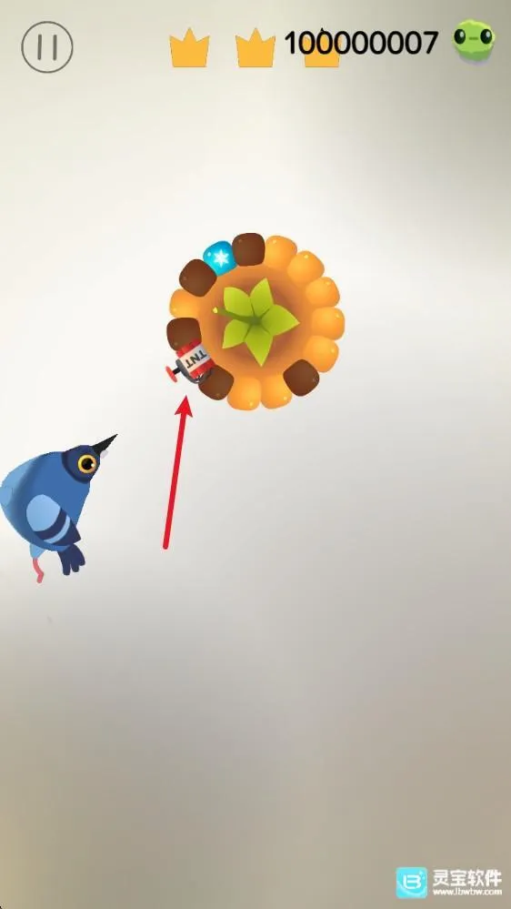 pigeonpop���ĸ�����Ϸ�淨6