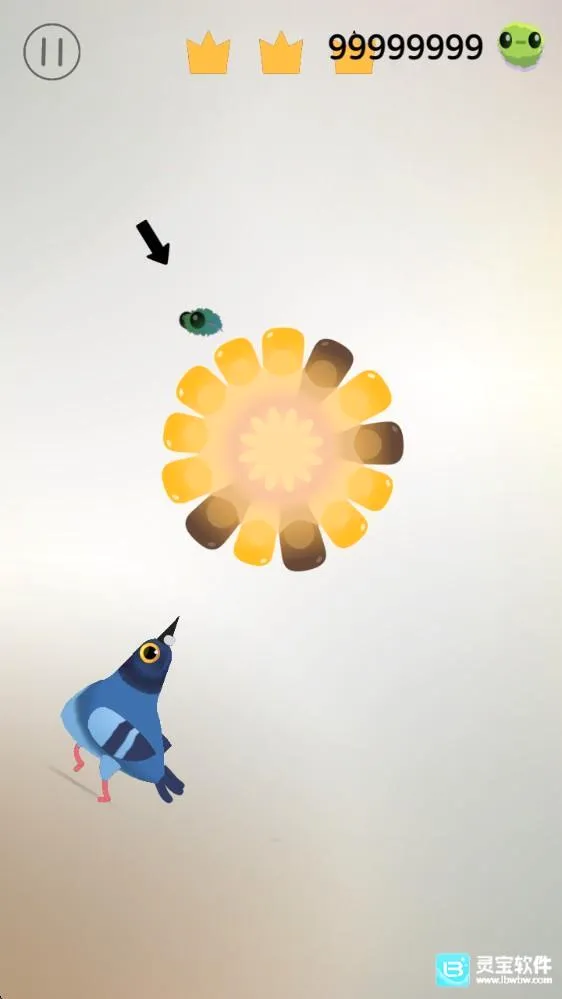 pigeonpop���ĸ���2026�ٷ�����